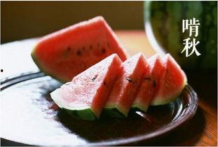 五元吃瓜网,揭秘娱乐圈幕后故事，带你领略明星真实生活